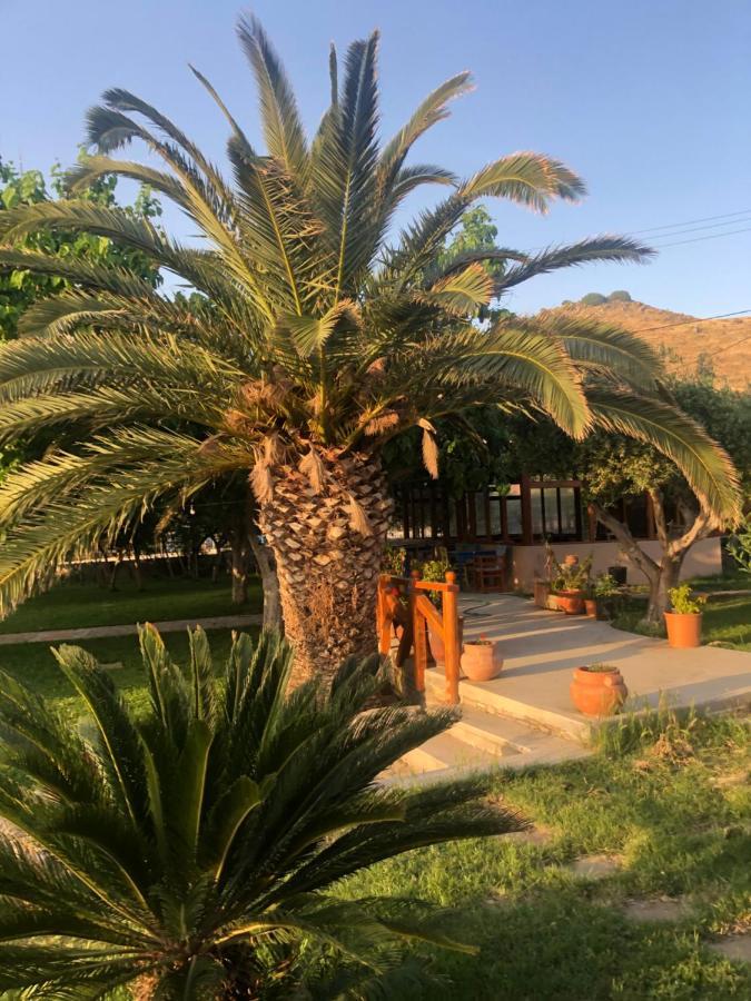 Gregory'S Village Plati  Bagian luar foto
