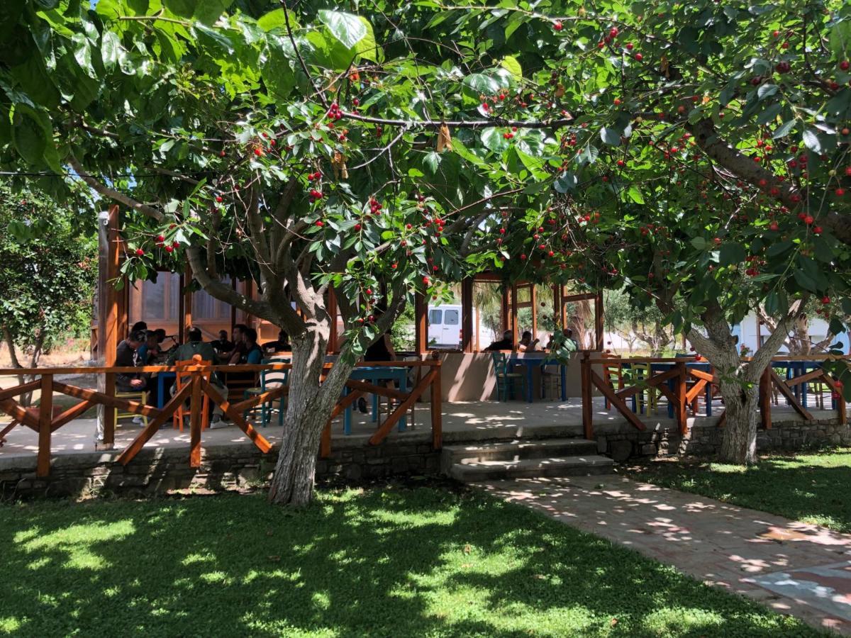 Gregory'S Village Plati  Bagian luar foto